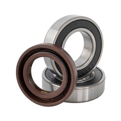 Bearing Kit & Oil Ring (11/14/21 Motor Service Kit