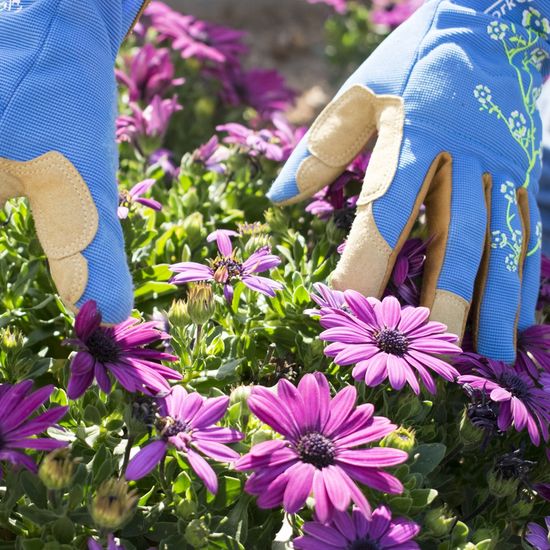 Ladies Slim Fit X-small Garden Gloves Blue