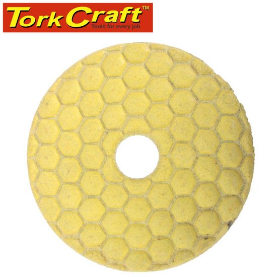 100mm Diamond Polishing Pad 100 Grit Dry Use