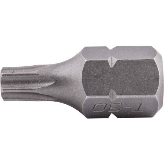 Torx Tamper Proof T30 X 25mm 10mm Hex Shank