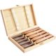 Chisel Set Wood Turning 300mm Hss 5 Piece Wood Case